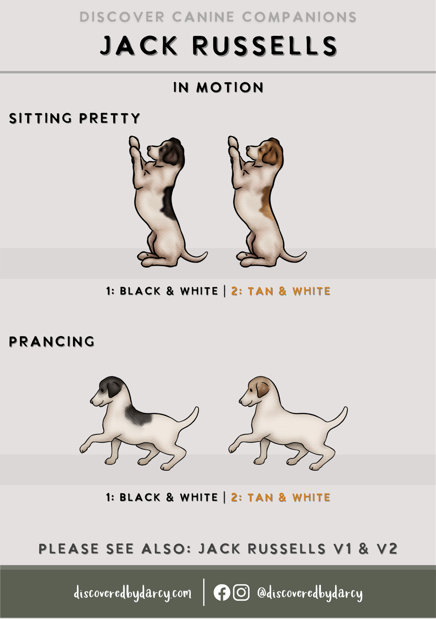 Jack Russel Terriers - Build-Your-Own