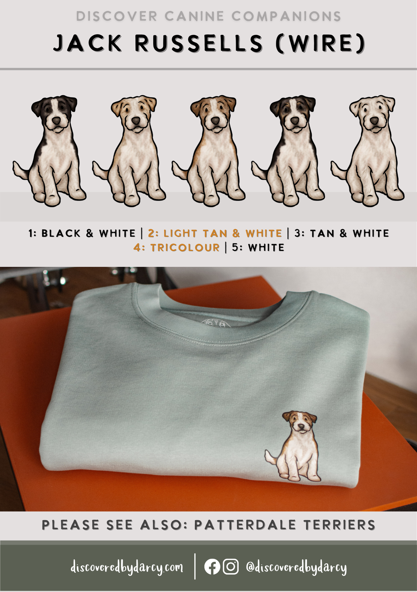 Jack Russel Terriers - Build-Your-Own