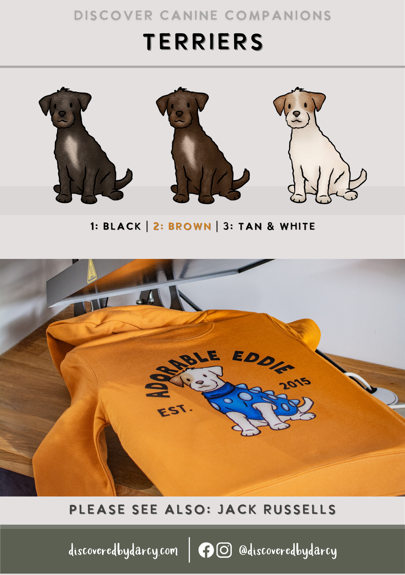 Jack Russel Terriers - Build-Your-Own