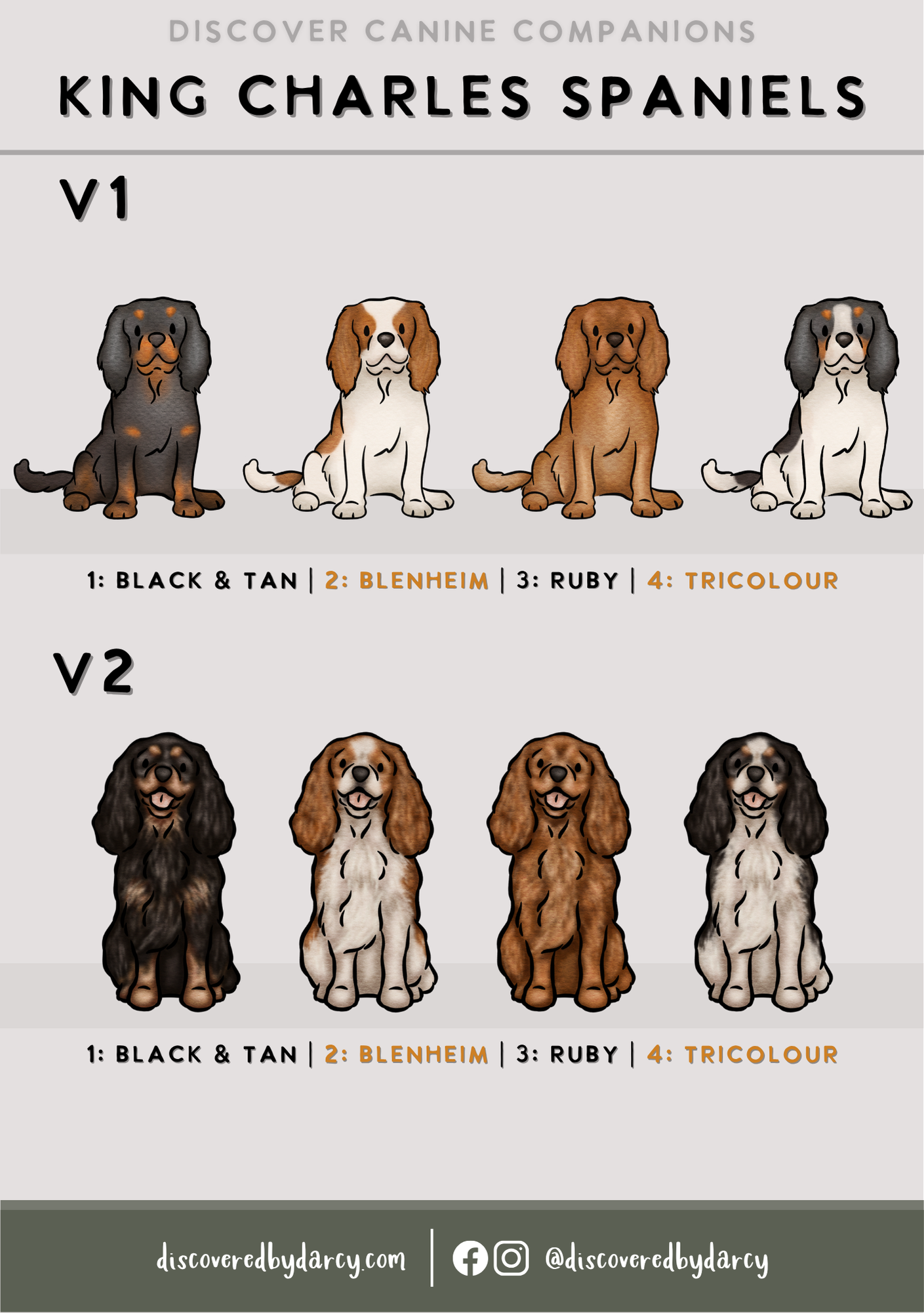 King Charles Spaniels - Build-Your-Own