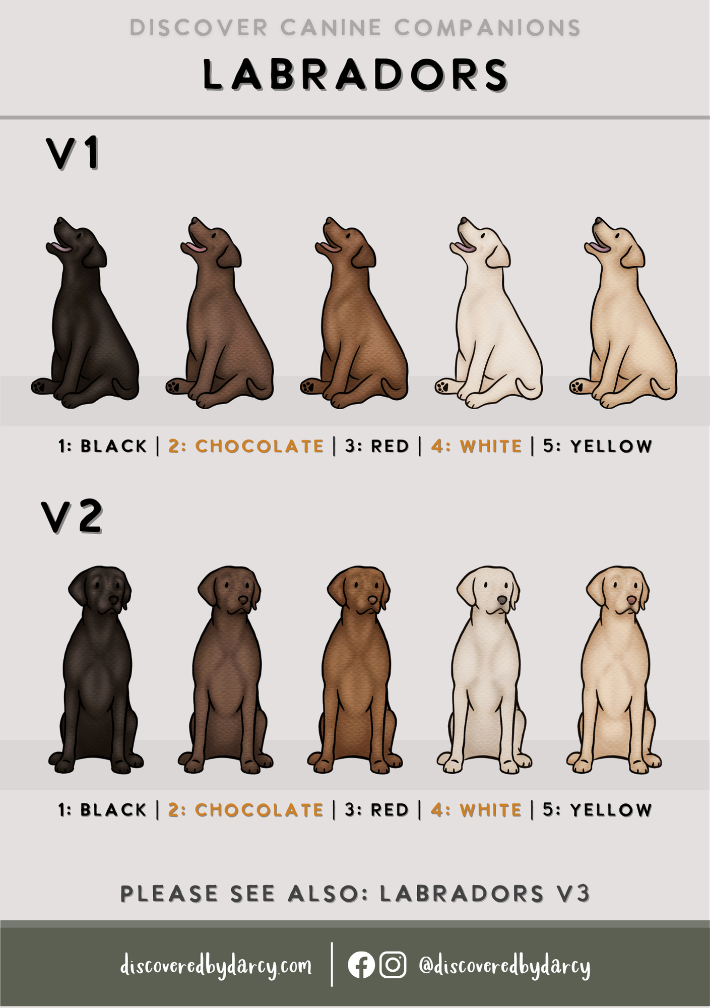 Labradors - Build-Your-Own