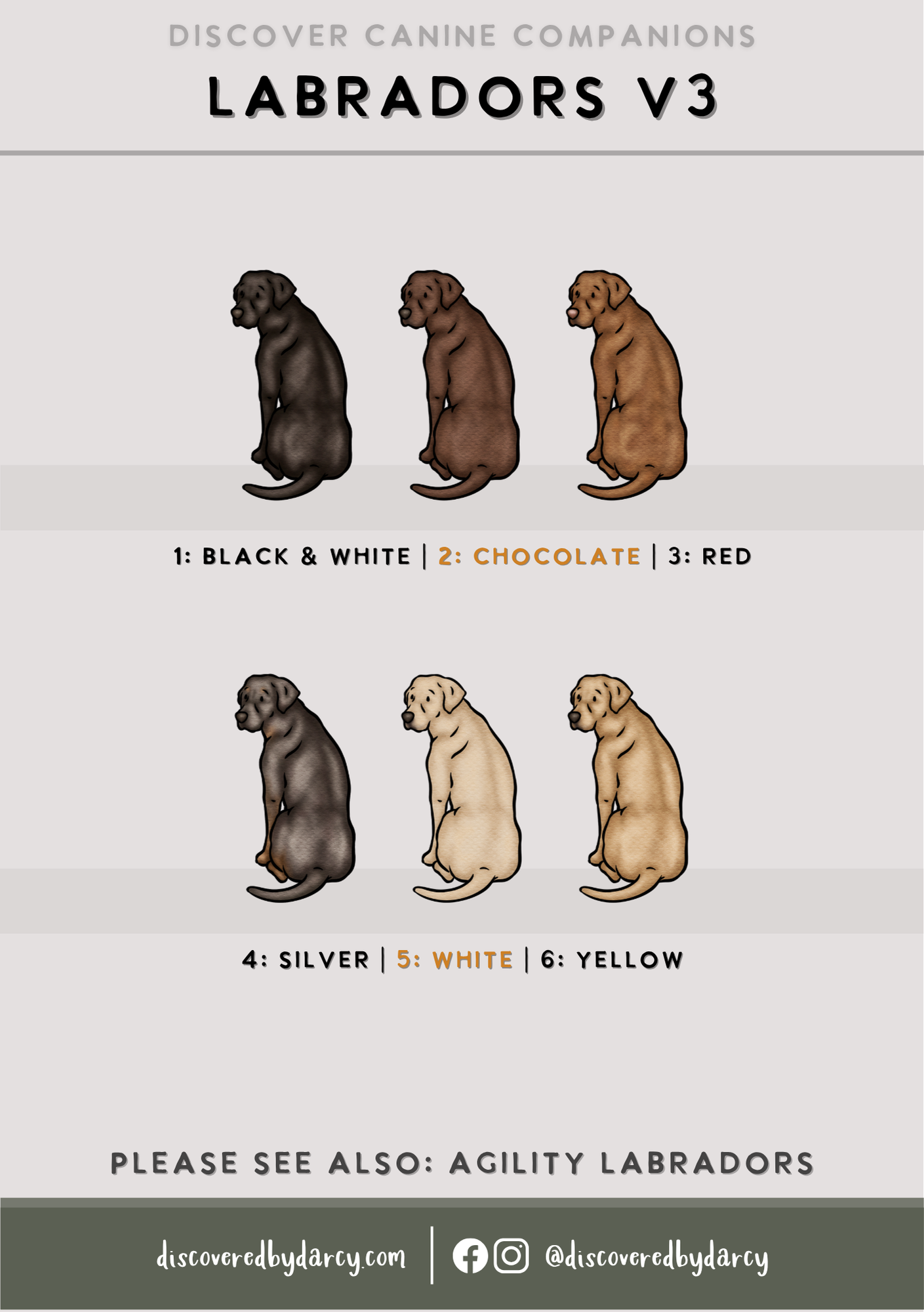 Labradors - Build-Your-Own