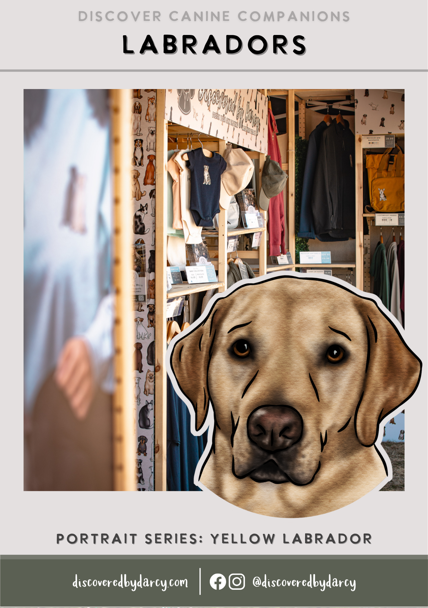 Labradors - Build-Your-Own