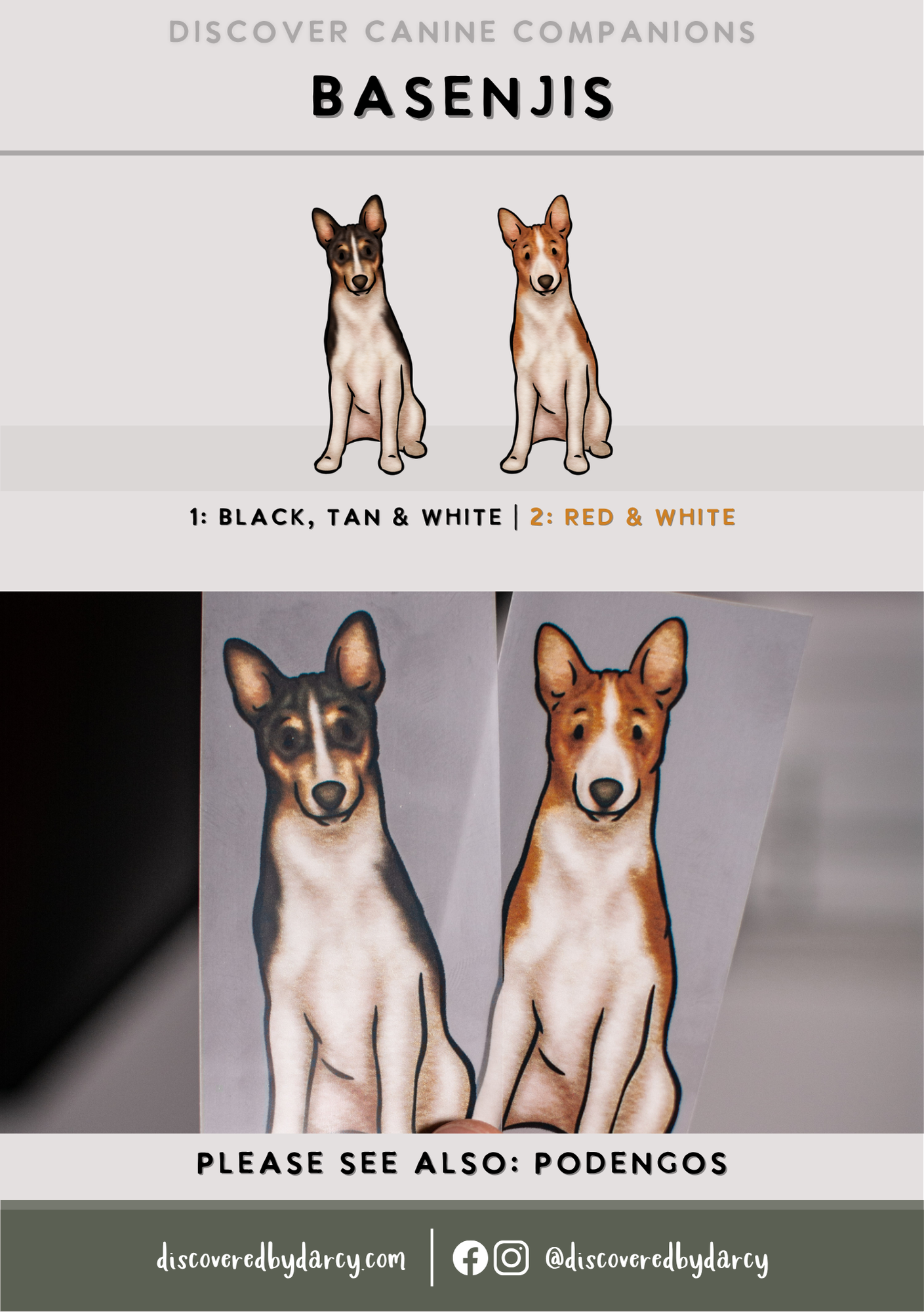 Basenjis - Build-Your-Own