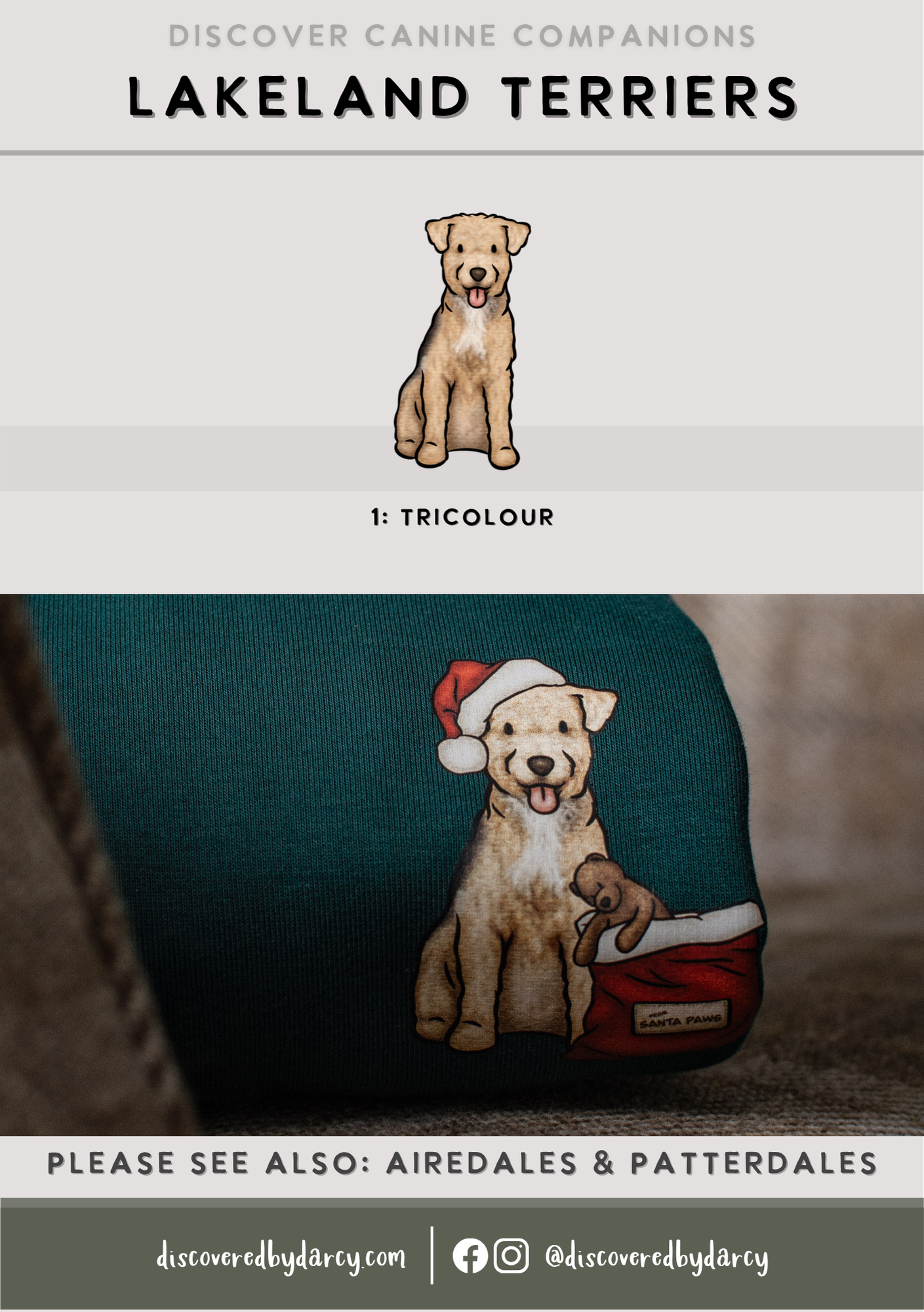 Lakeland Terriers - Build-Your-Own