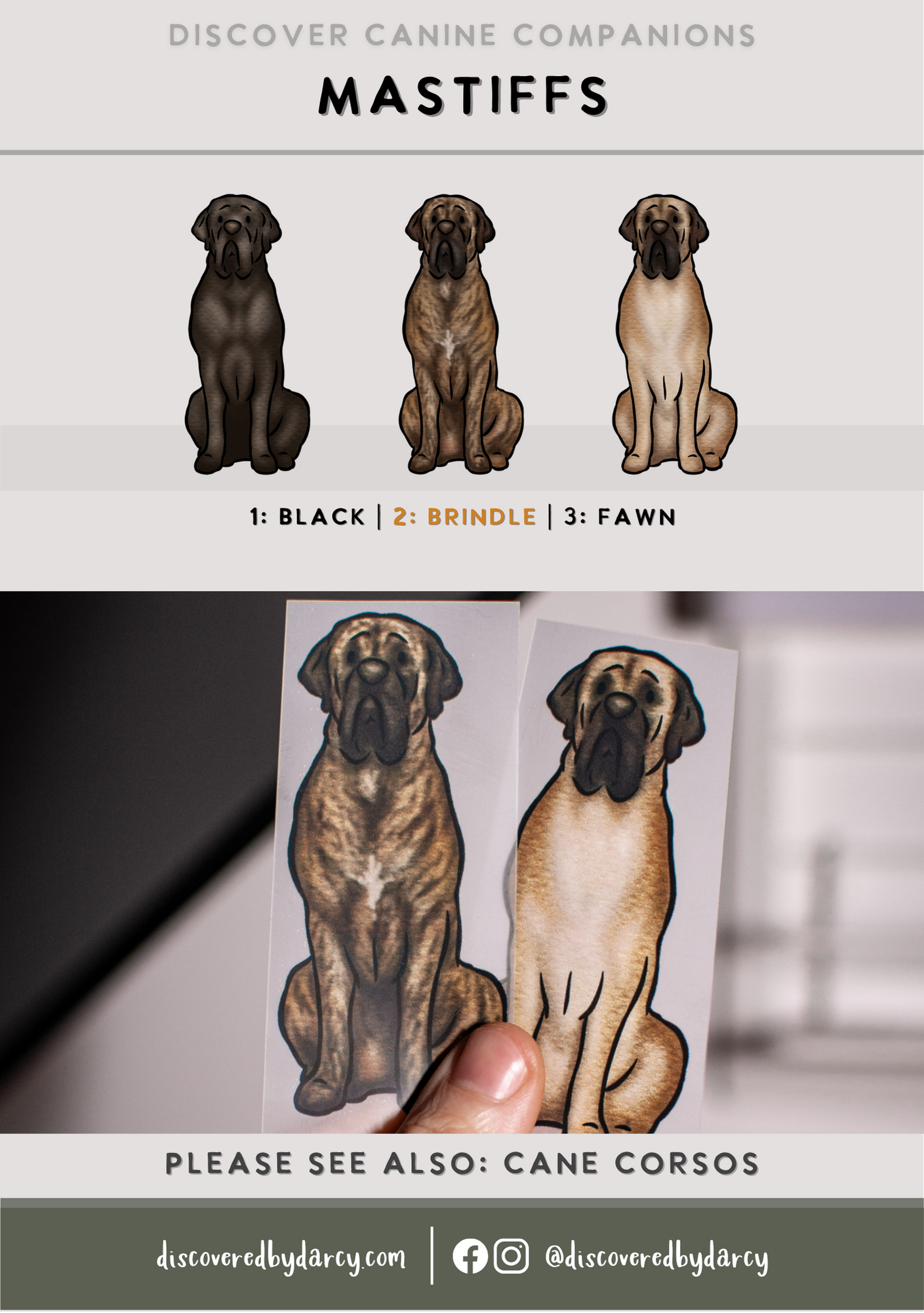 Mastiff - Build-Your-Own