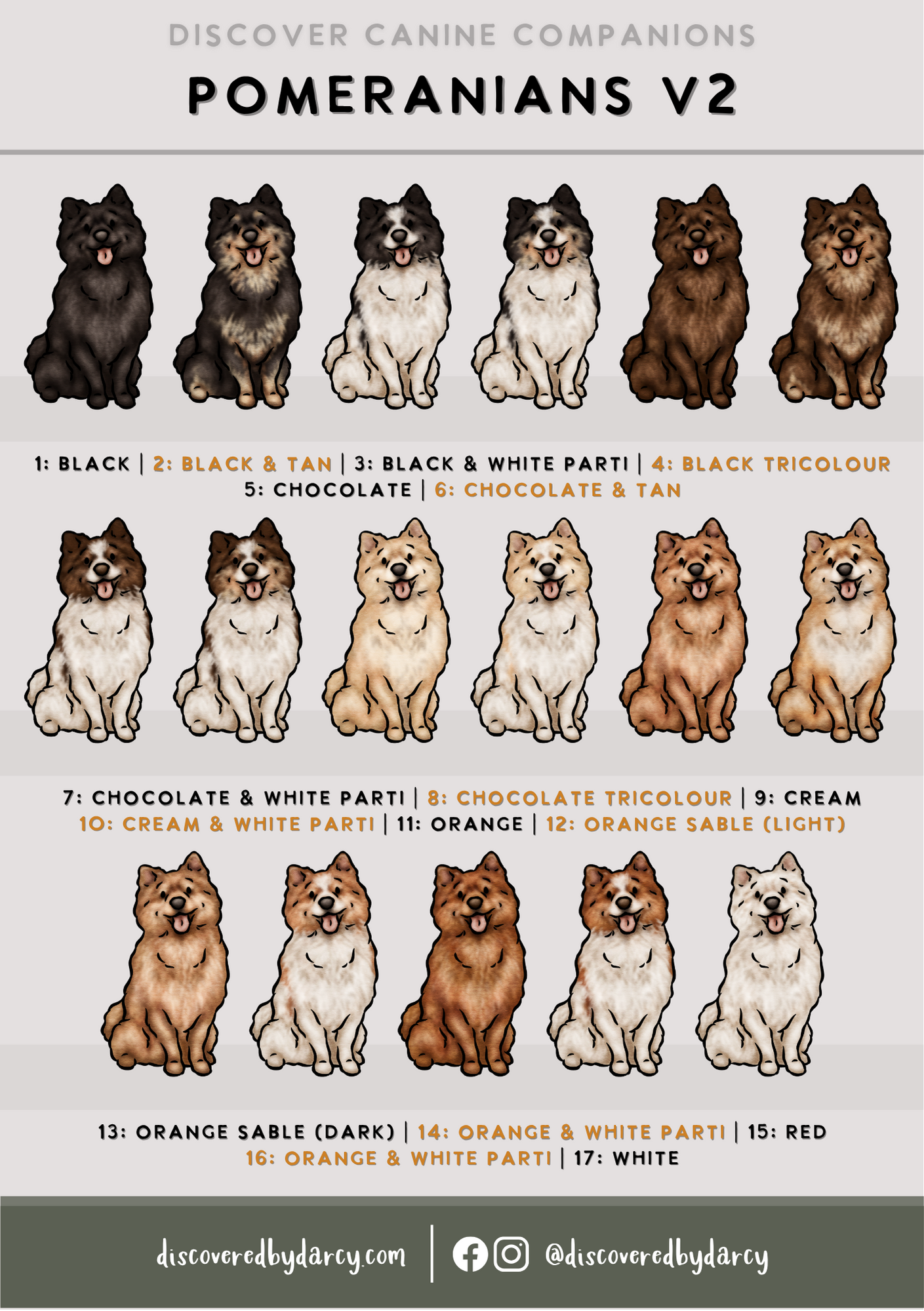 Pomeranians - Build-Your-Own