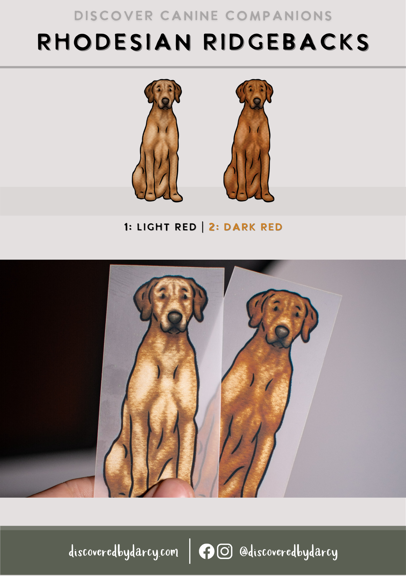 Rhodesian Ridgebacks - Build-Your-Own
