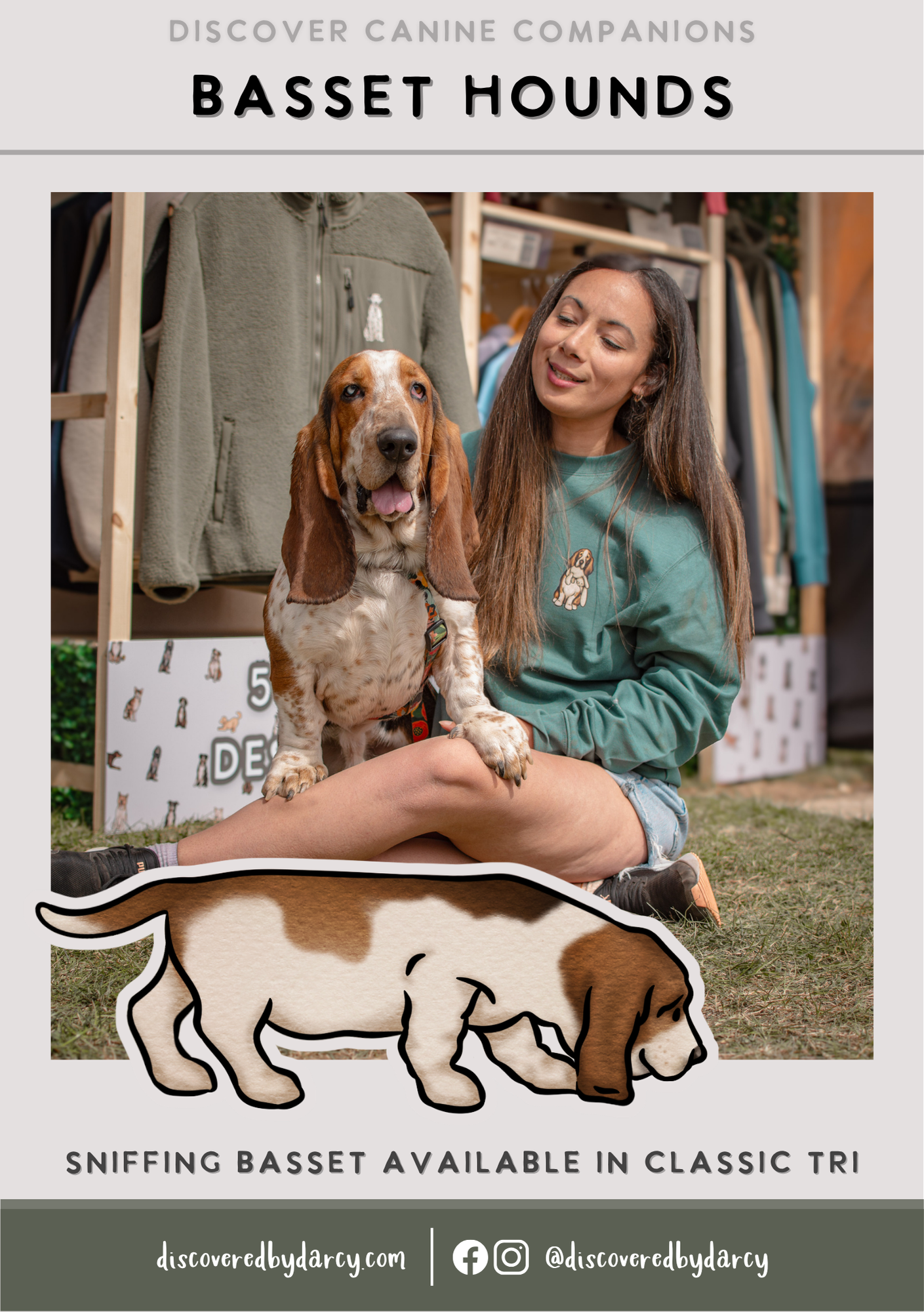 Basset Hounds - Build-Your-Own