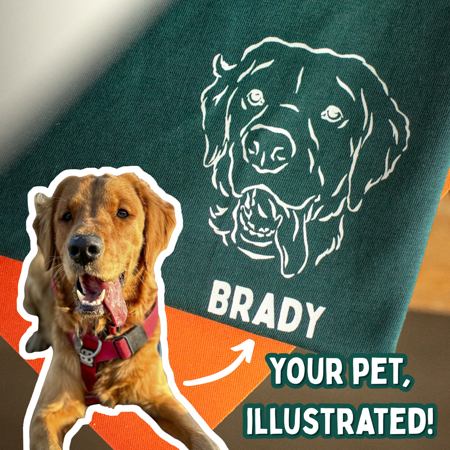 Sketch Series - Build-Your-Own