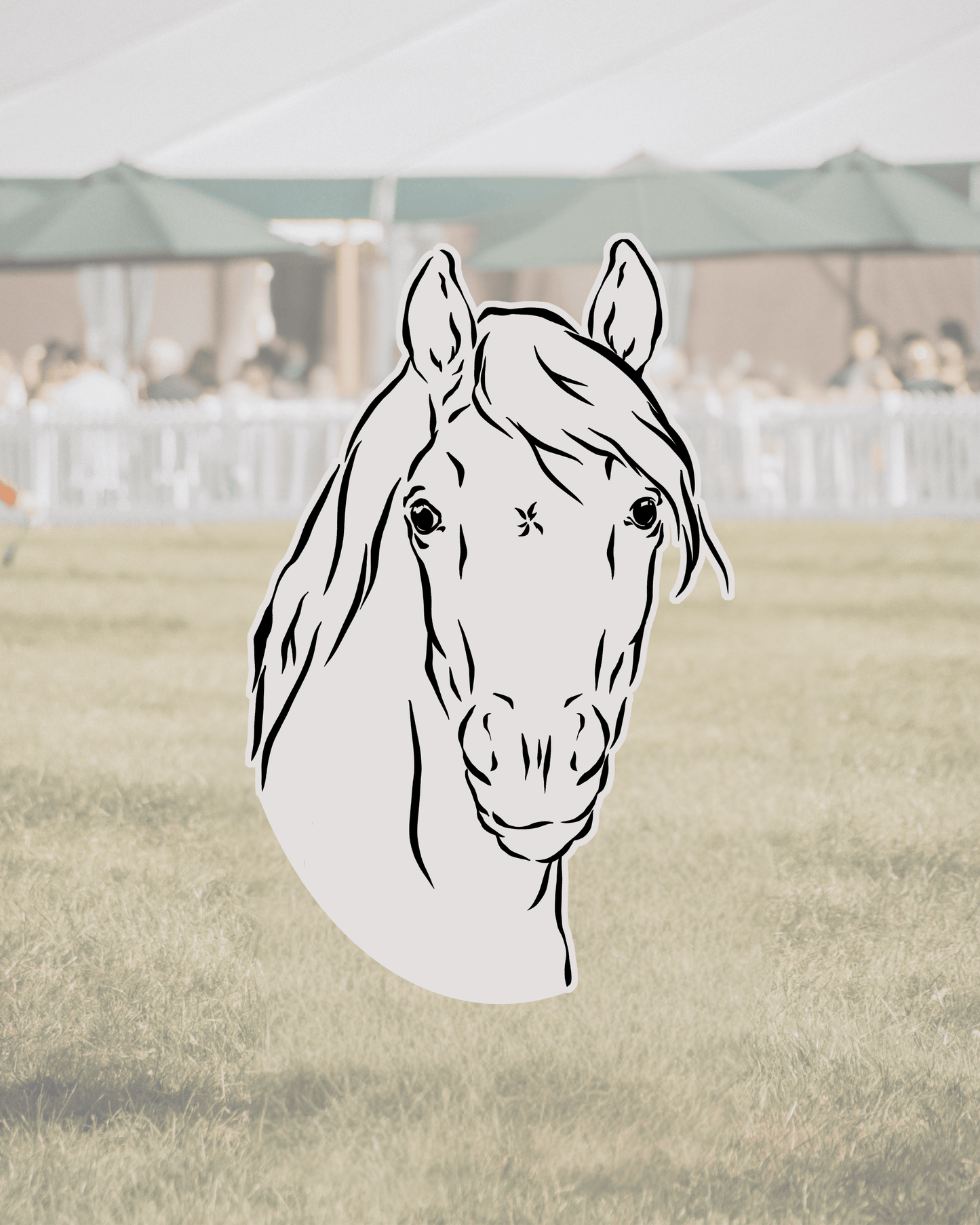 Equestrian Couture - Build-Your-Own