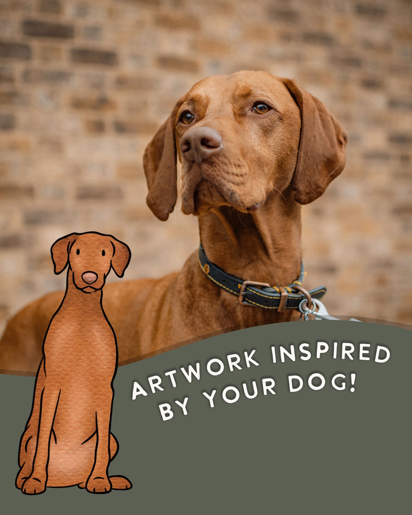 Essentials Softshell - Canine Companions Series