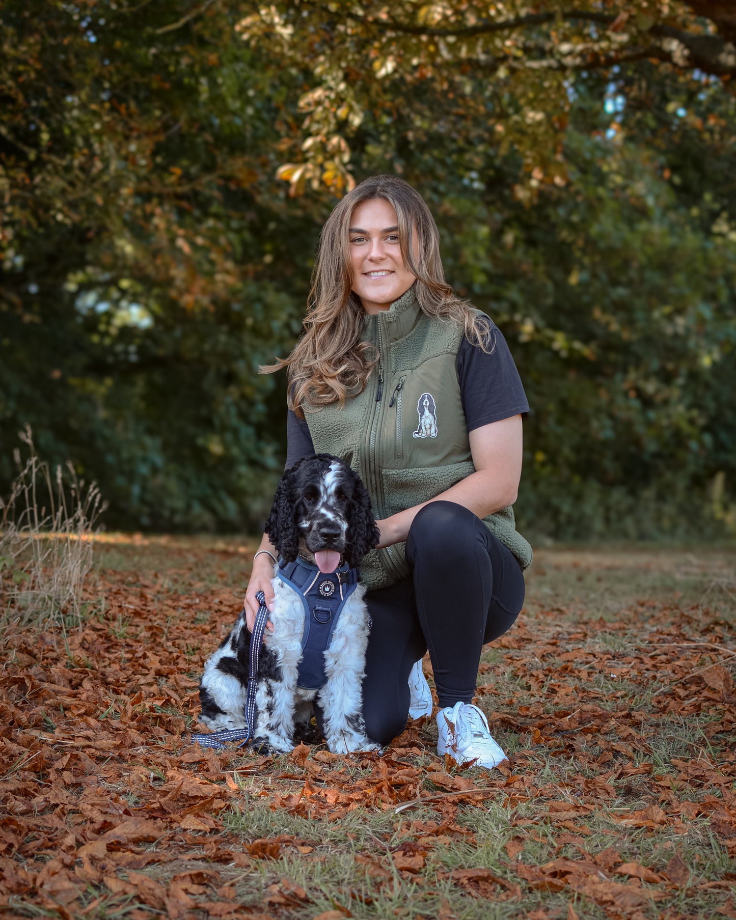 Canine Companions - Build-Your-Own