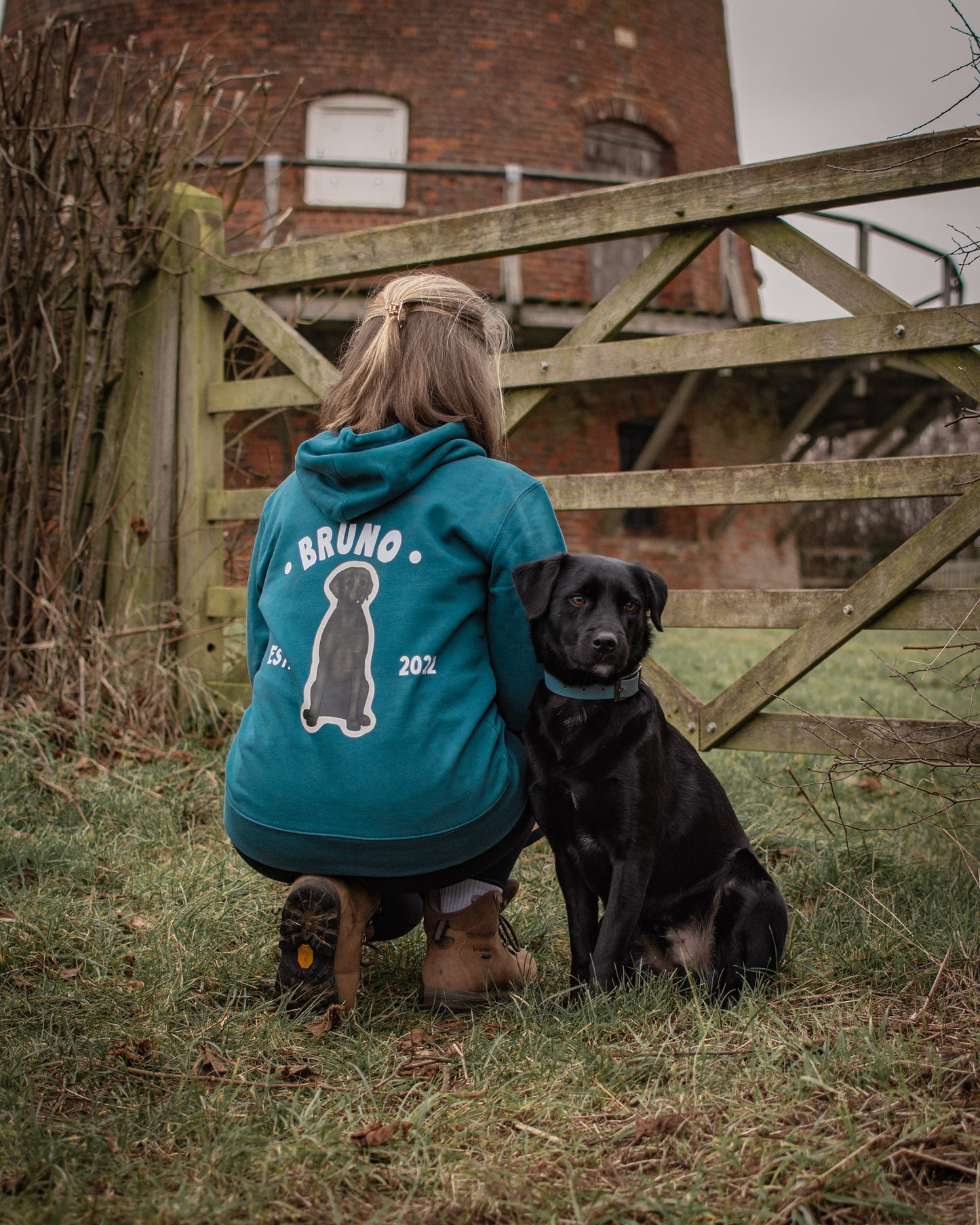 Labradors - Build-Your-Own