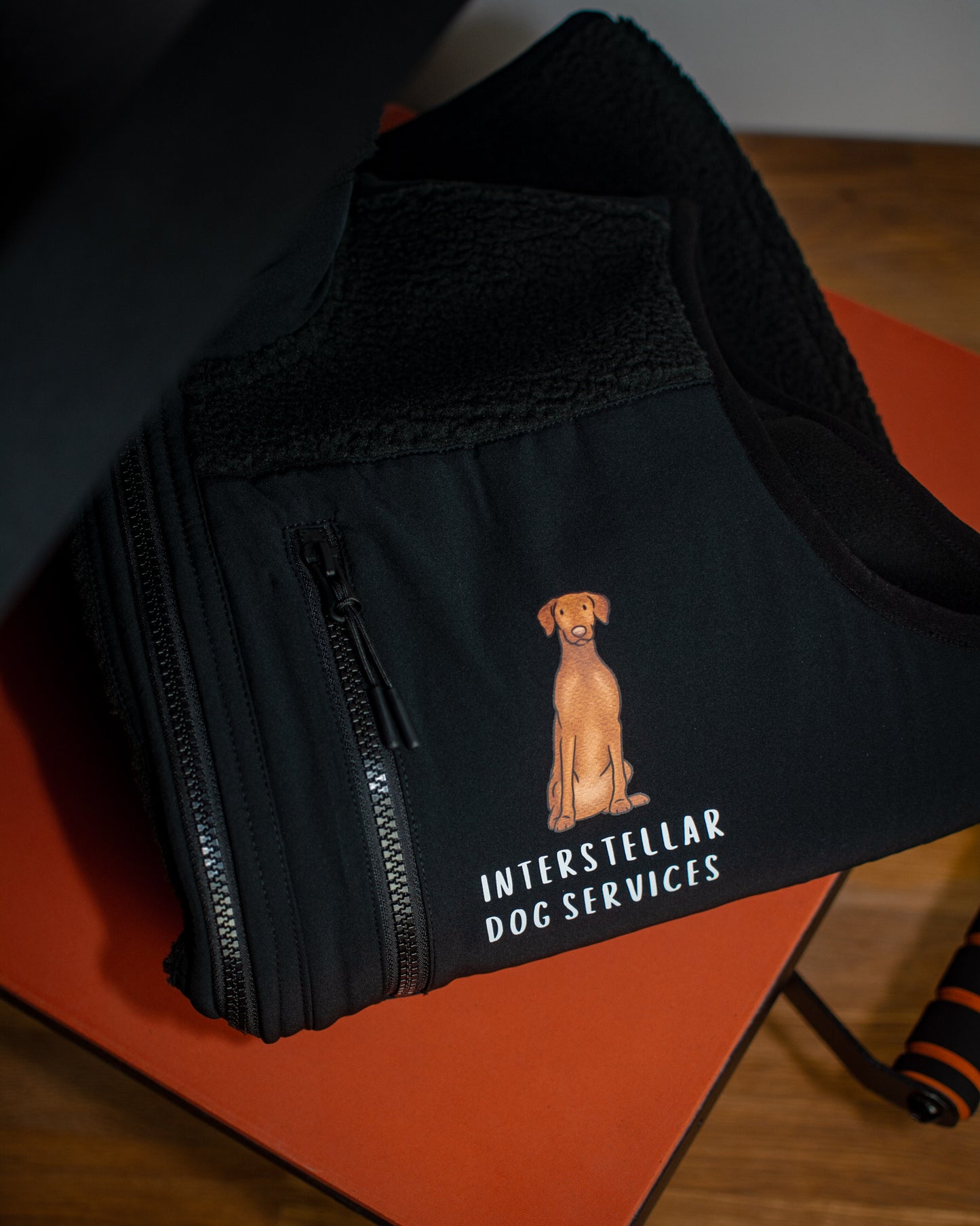 Vizslas - Build-Your-Own