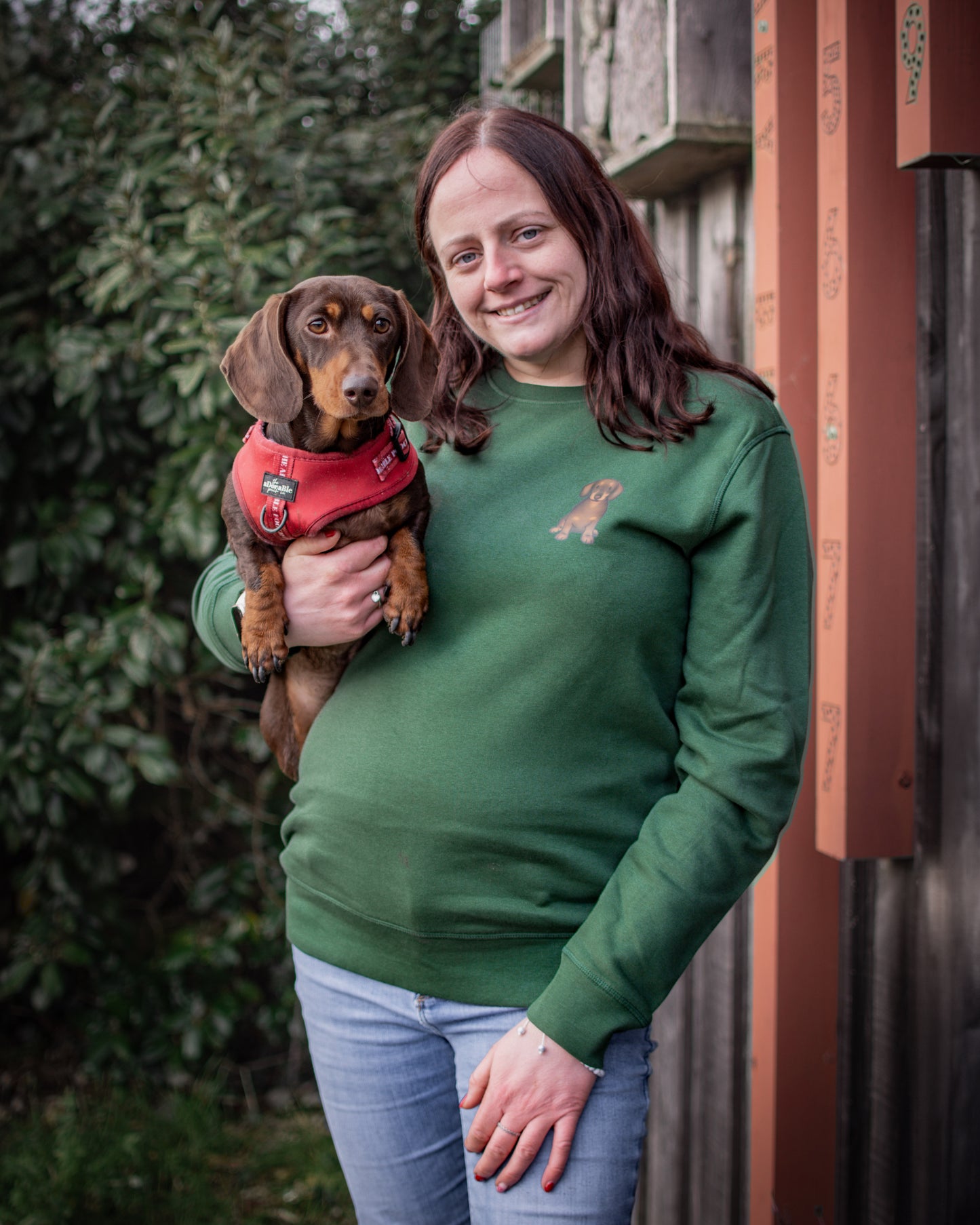 Chocolate & Tan Dachshund - Large Green Luxury Sweatshirt