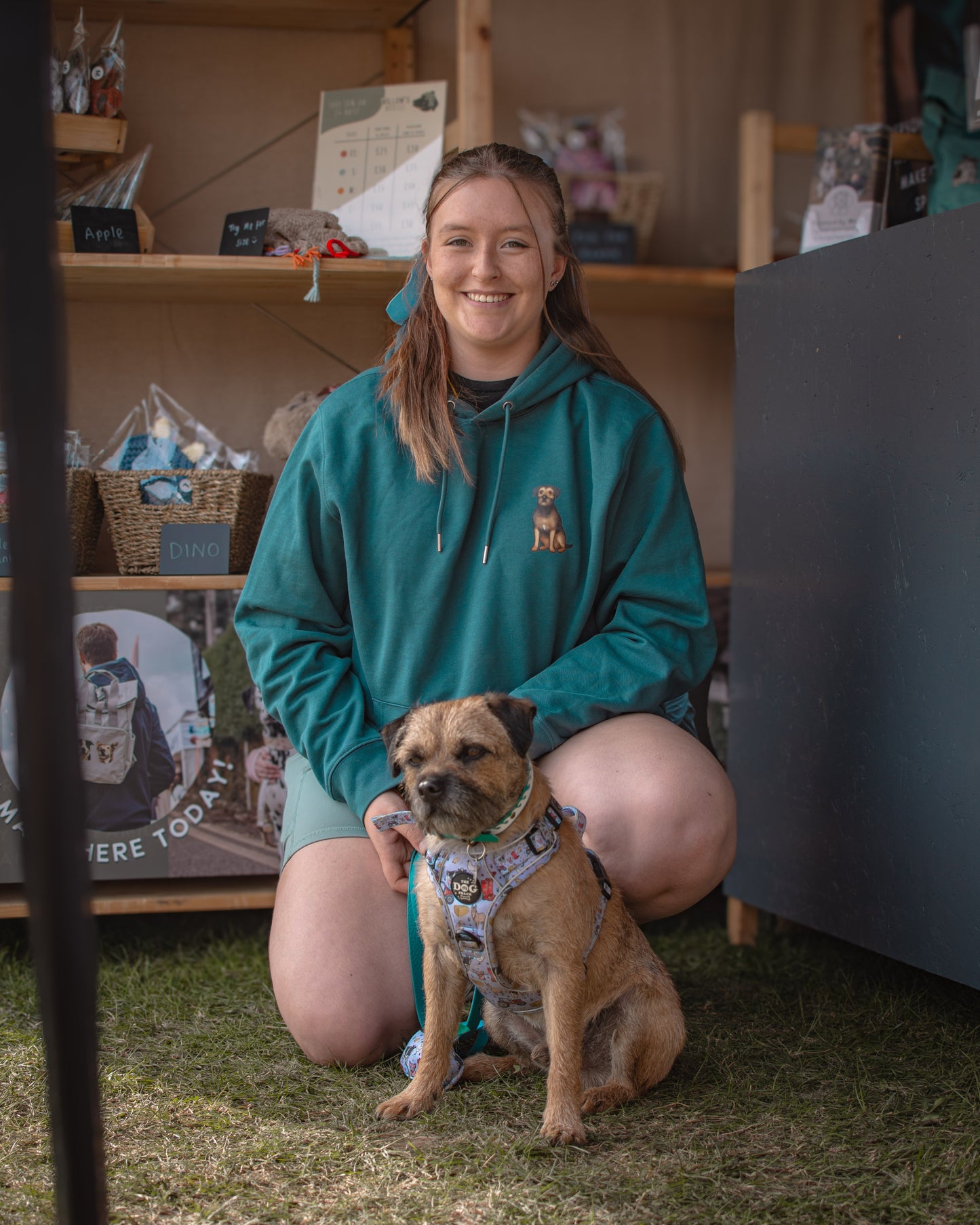 Border Terriers - Build-Your-Own