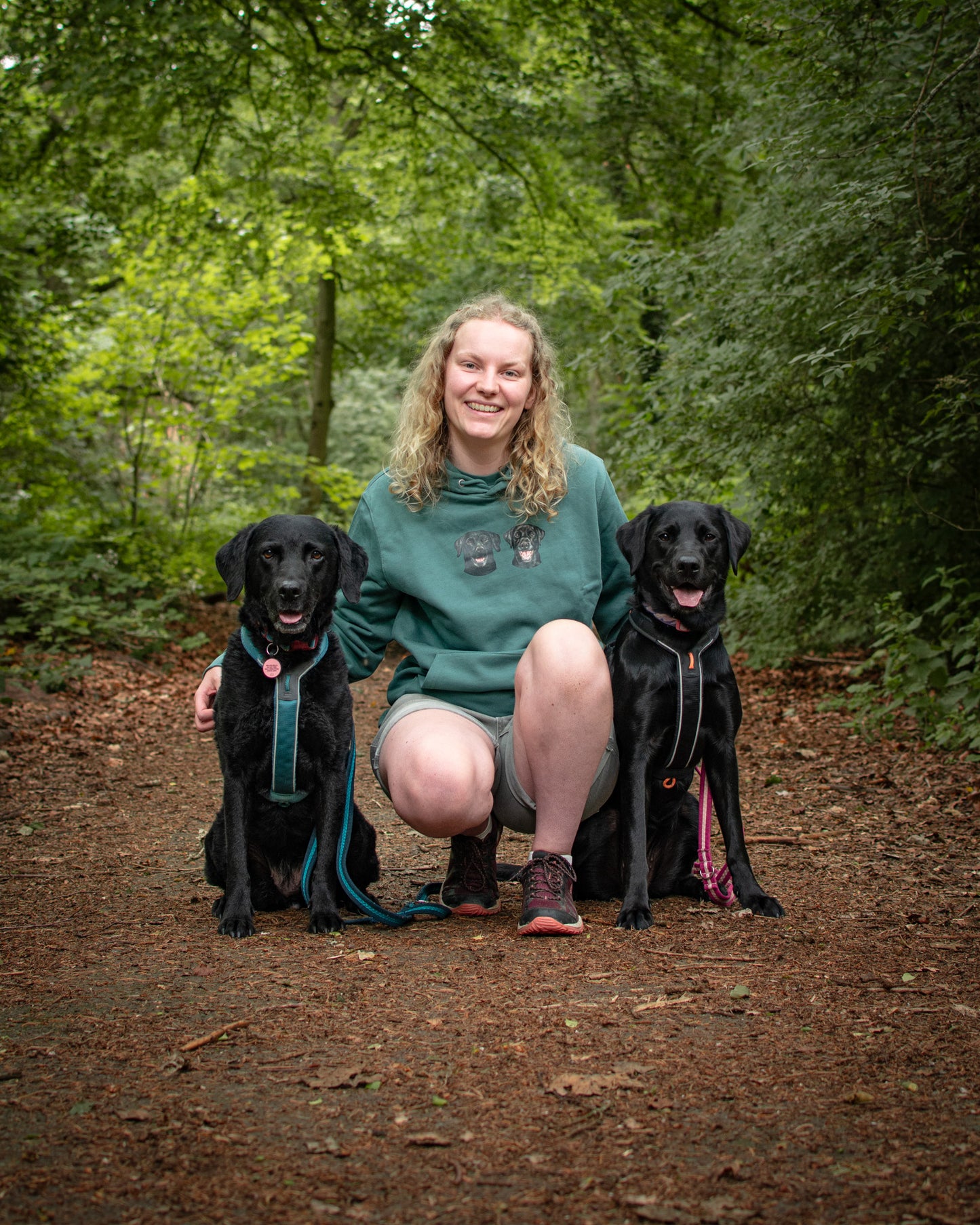 Labradors - Build-Your-Own
