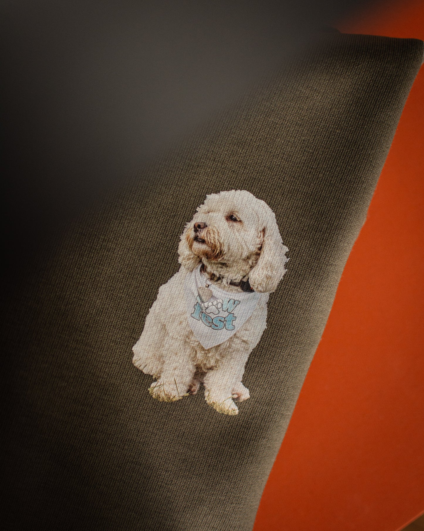 Bichon Frise - Build-Your-Own