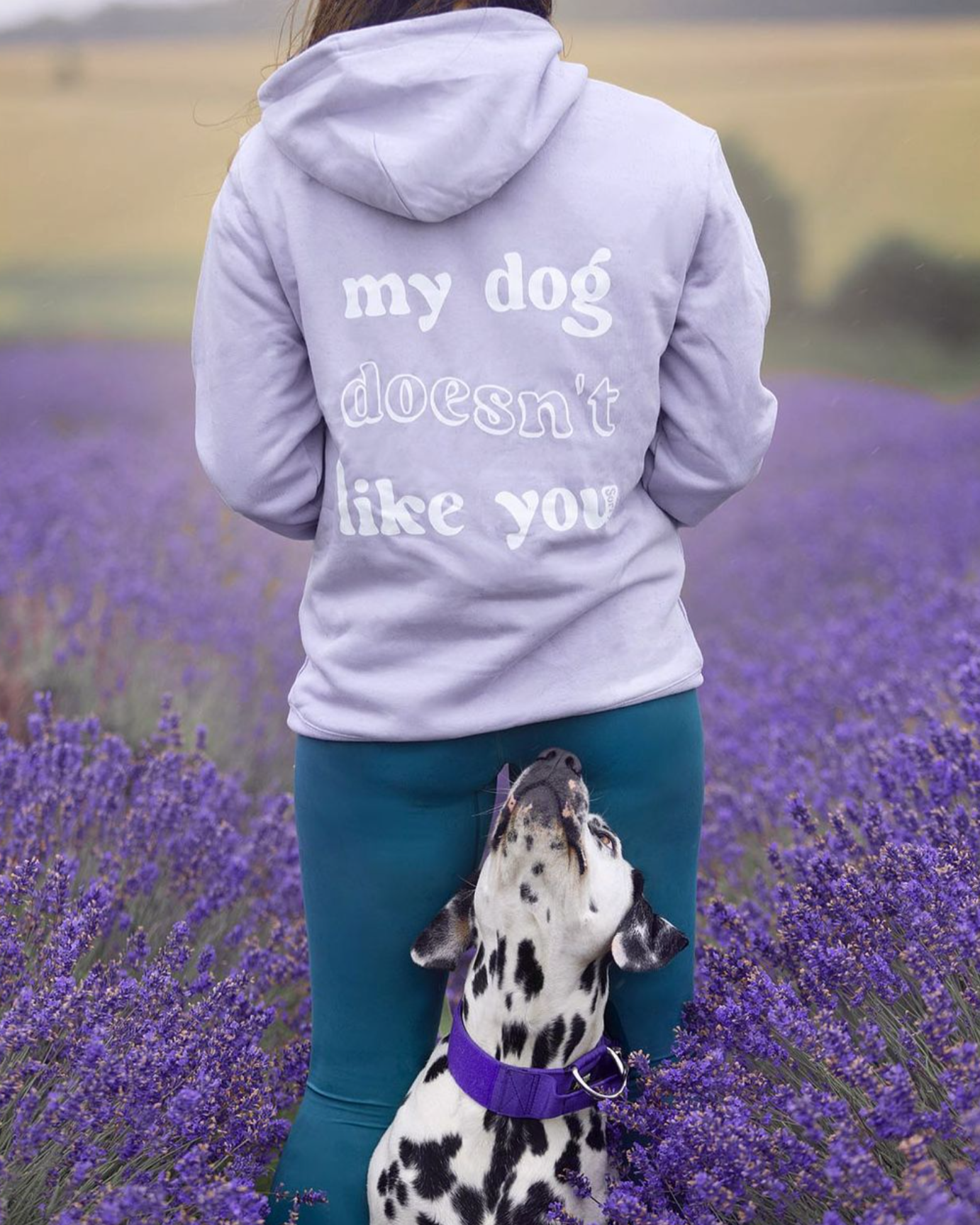 My Dog Doesn't Like You - Build-Your-Own