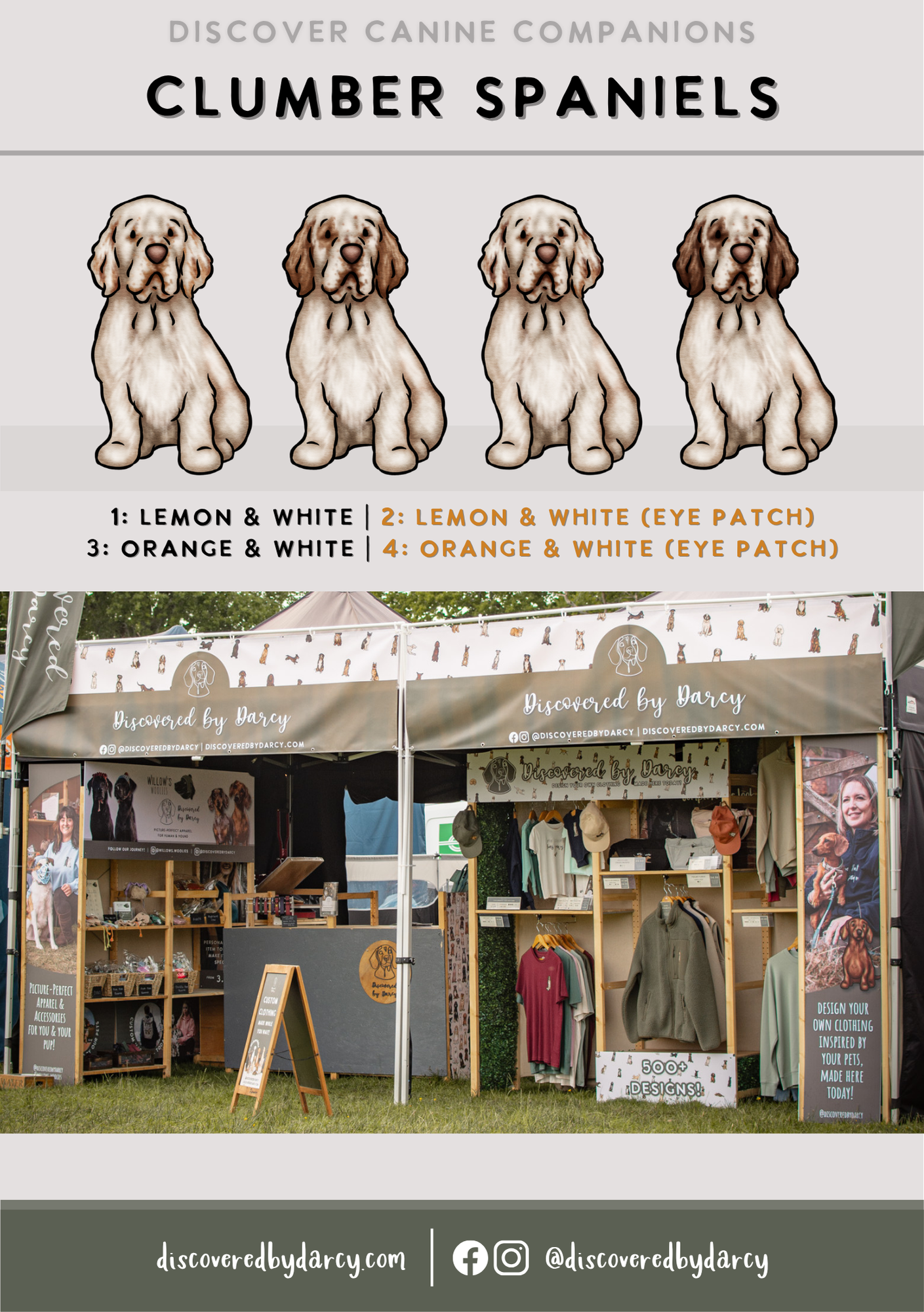 Clumber Spaniels - Build-Your-Own