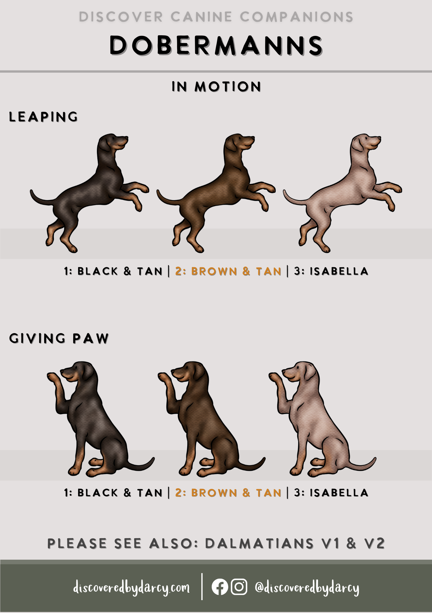 Dobermanns - Build-Your-Own