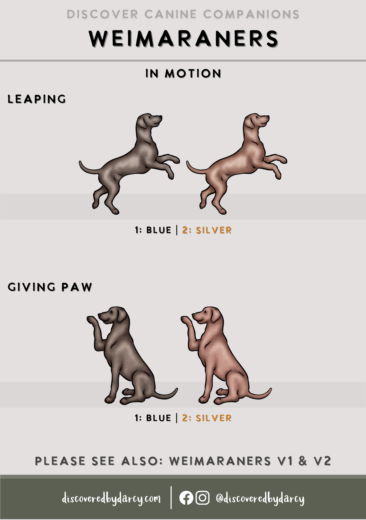 Weimaraners - Build-Your-Own
