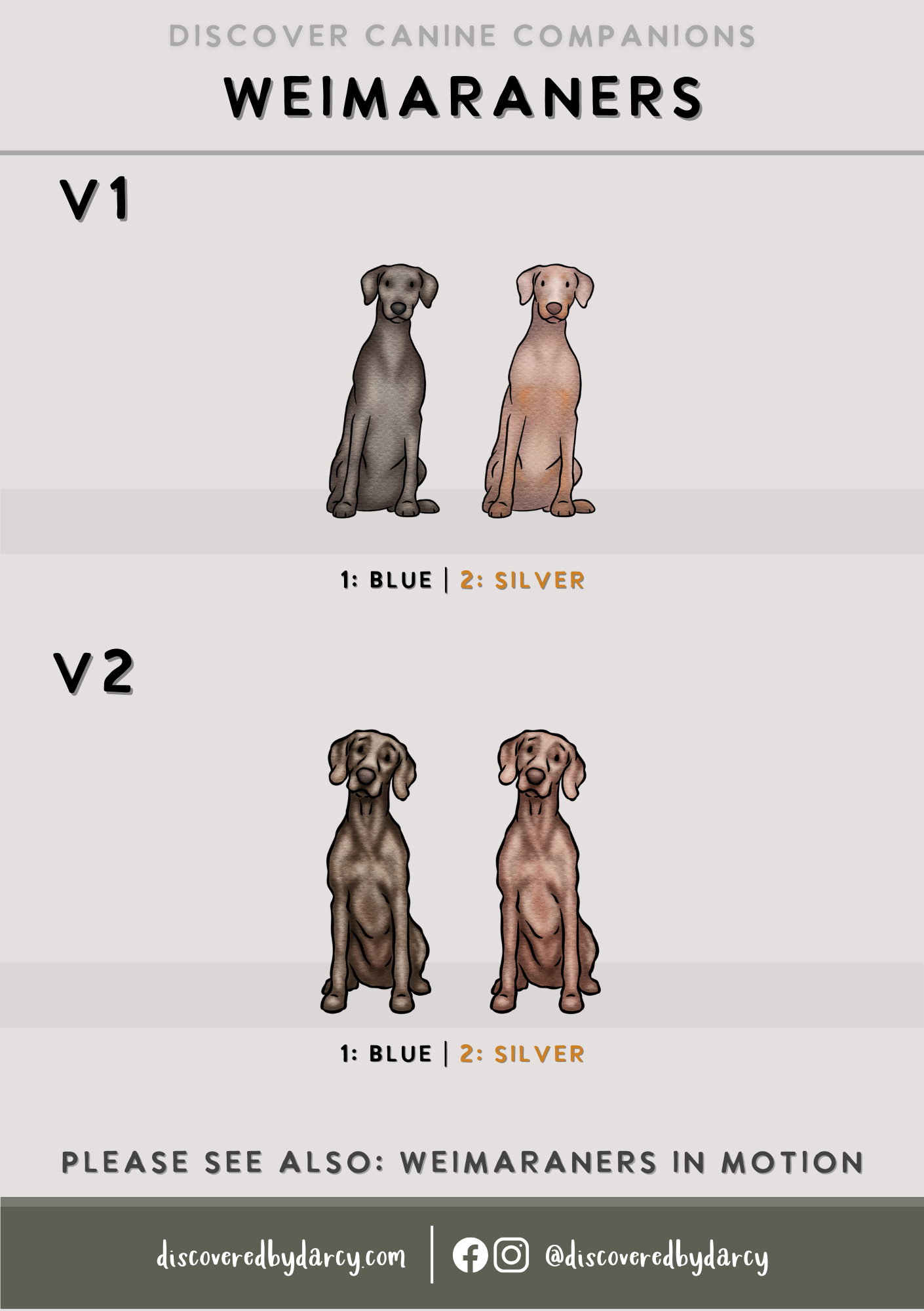 Weimaraners - Build-Your-Own