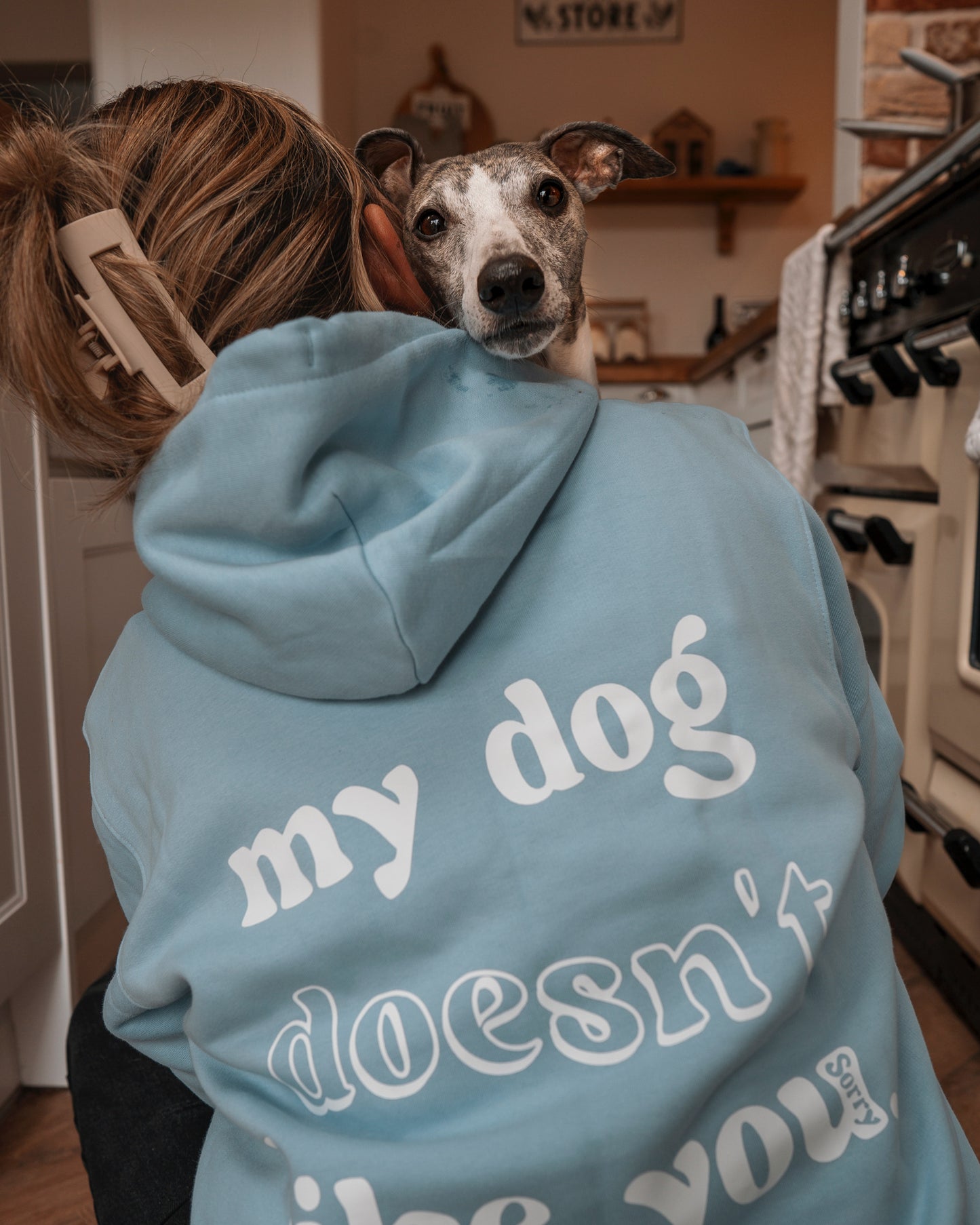 My Dog Doesn't Like You - Luxury Hoodie