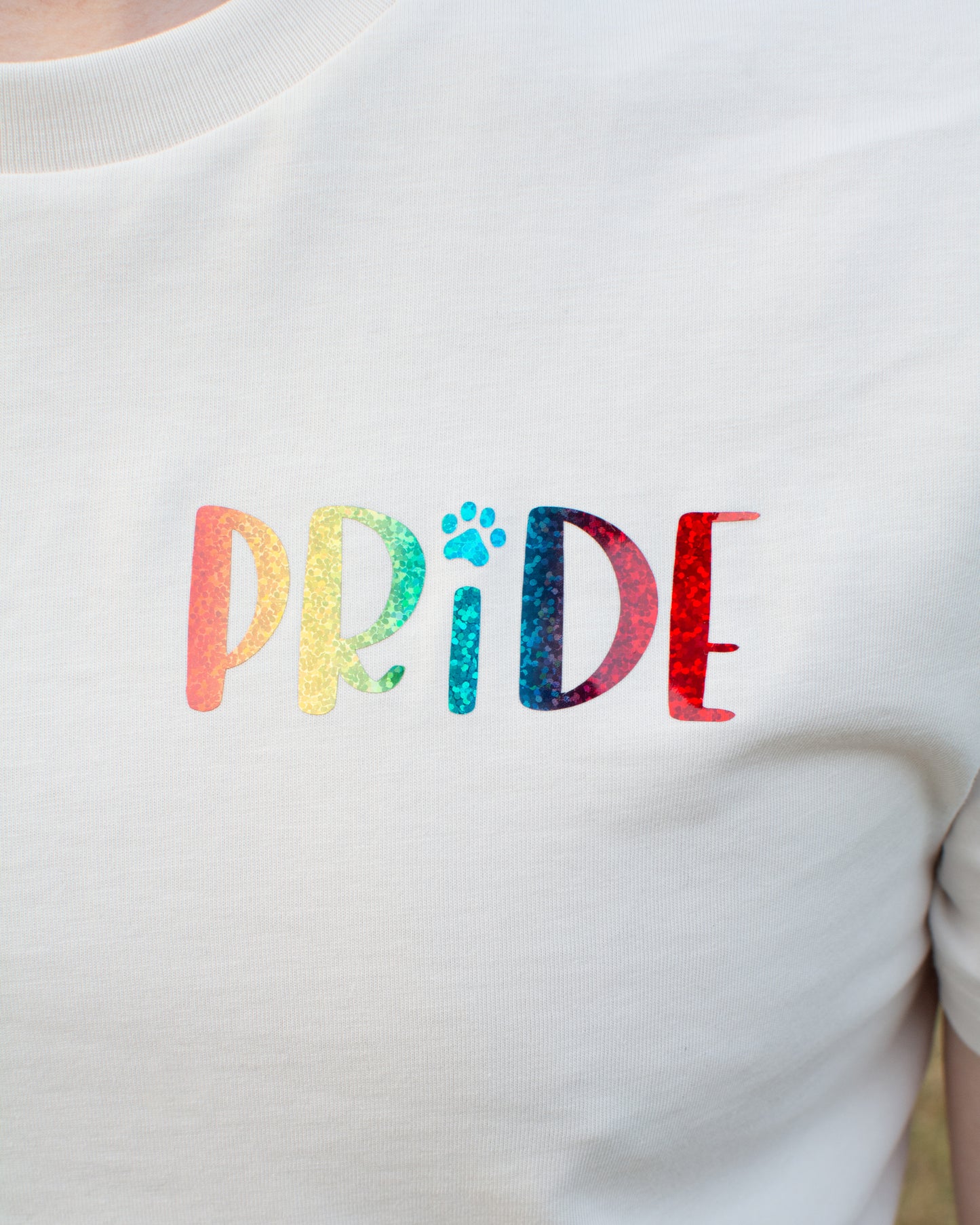 LGBTQ+ Pride Tee Shirts