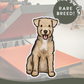 Lakeland Terriers - Build-Your-Own
