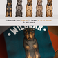 Shar Peis - Build-Your-Own