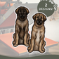 Leonbergers - Build-Your-Own