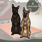 Malinois - Build-Your-Own