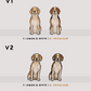 Beagles - Build-Your-Own