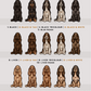 Spaniels - Build-Your-Own