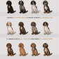 Spaniels - Build-Your-Own