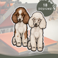 Miniature Poodles - Build-Your-Own