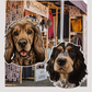 Spaniels - Build-Your-Own