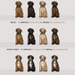 Spanish Water Dogs - Build-Your-Own