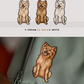 Spitz - Build-Your-Own