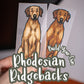 Rhodesian Ridgebacks - Build-Your-Own