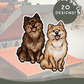 Pomeranians - Build-Your-Own