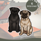 Pugs - Build-Your-Own
