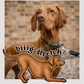 Vizslas - Build-Your-Own