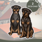 Rottweilers - Build-Your-Own