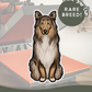 Rough Collies - Build-Your-Own