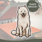 Samoyeds - Build-Your-Own