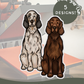 Setters - Build-Your-Own