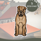 Shar Peis - Build-Your-Own
